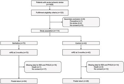 Sertraline for Functional Recovery After Acute Ischemic Stroke: A Prospective Observational Study
